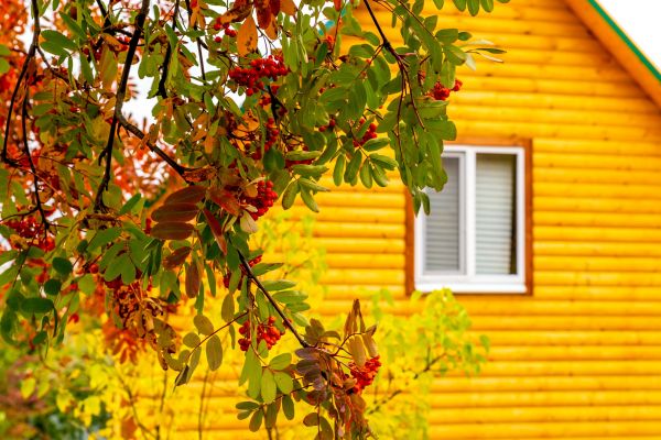 Cost of Garden Window Replacement in Davenport